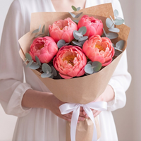 Pfingstrose Coral Sunset – lachsfarbene Päonie, 5 Stück, Schnittblumen von Blumen Kreativ Wien