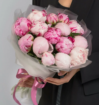 Pfingstrosen Sara Bernhard (Rosa)
