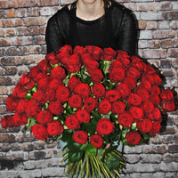 51 Premium-Rosen Red Naomi (Rot) 
