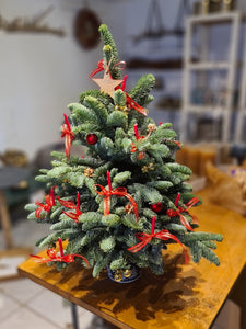 Weihnachtsbaum