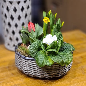 Frühlingskorb