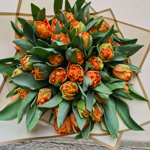 Tulpenstrauß Olivo