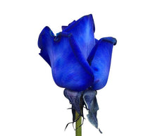 Laden Sie das Bild in den Galerie-Viewer, Blaue Rosen